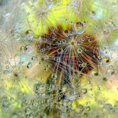 All Creation is Established in Love; Believe and be established by Faith.