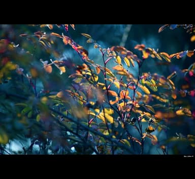 Kingdom Community, Pray and wait.