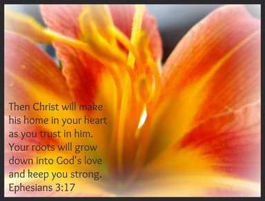 Spirituals Contracts II