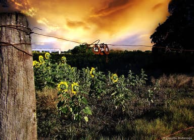 The Humble God Of Israel