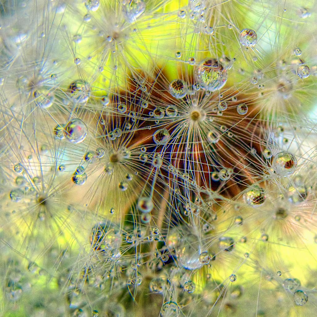 All Creation is Established in Love; Believe and be established by Faith.