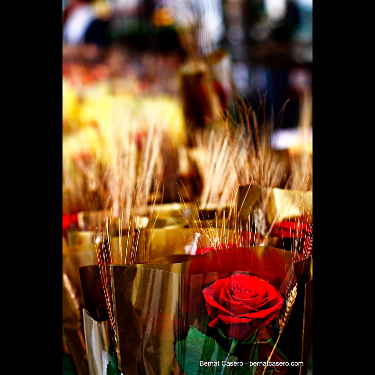 Heart to Heart through the Holy Spirit; A Secret Of Love