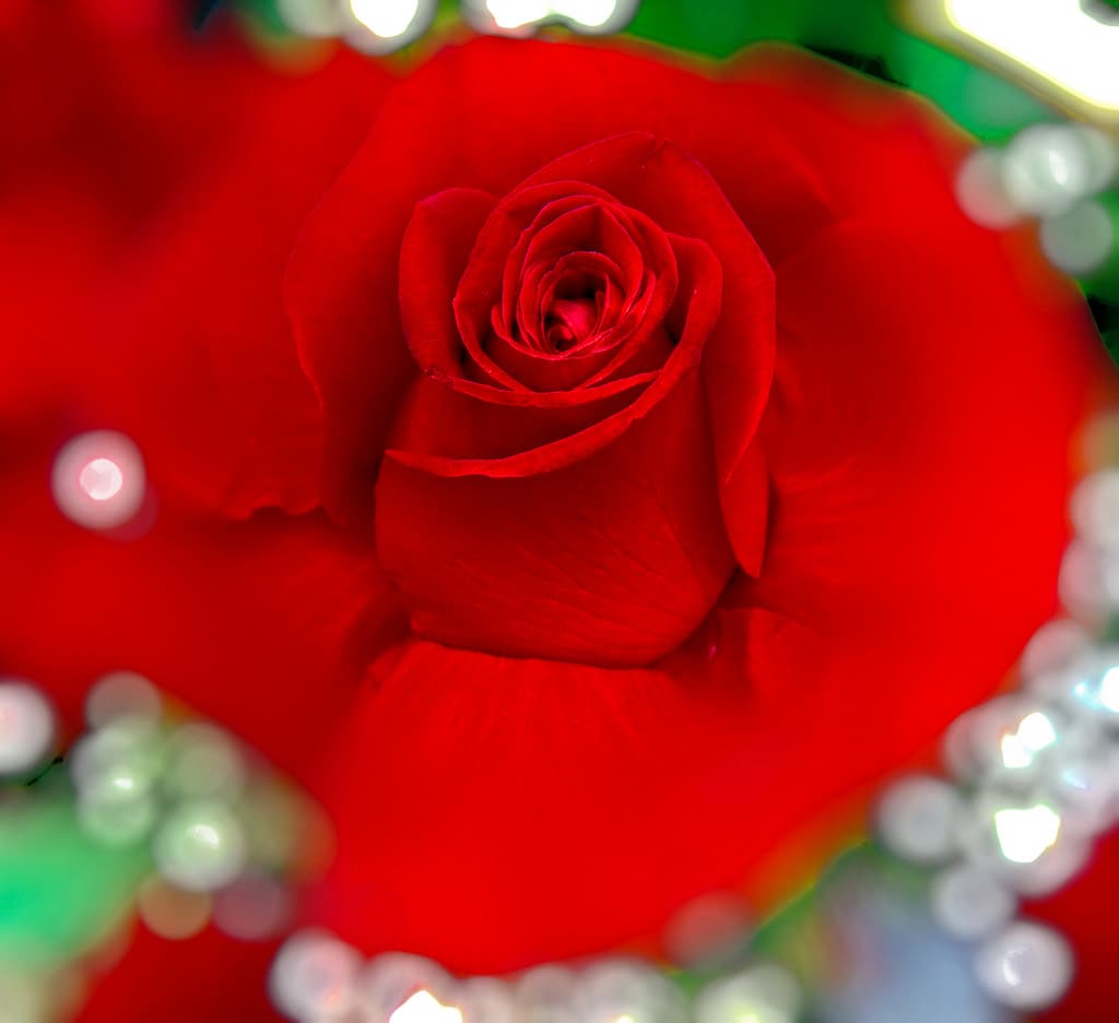 Lessons From the Lord