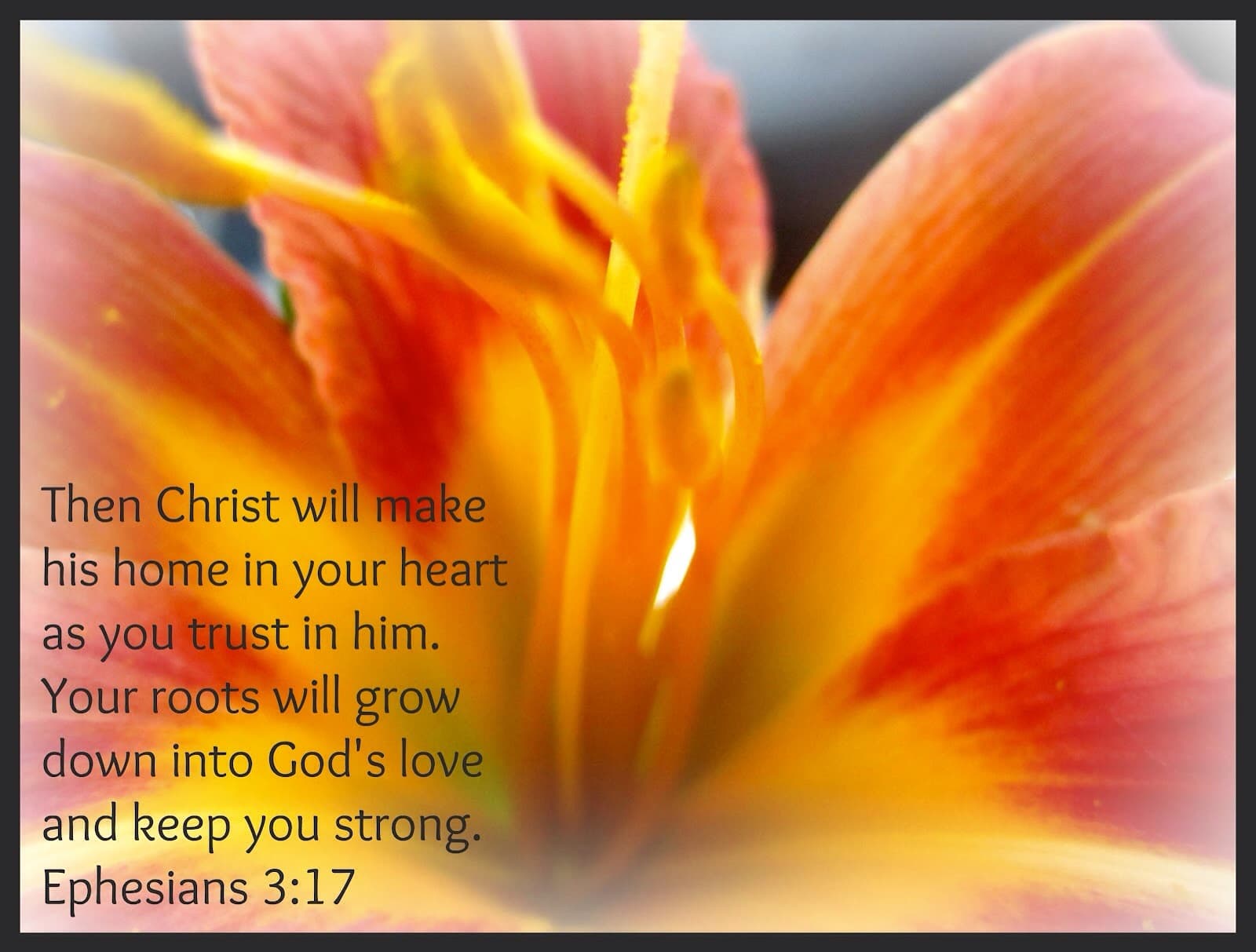 Spirituals Contracts II