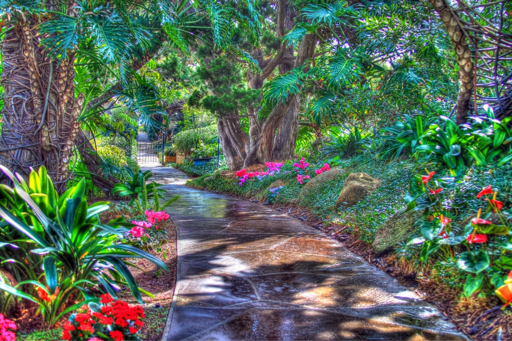 The Song of Creation; An unsearchable heart loves us unsearchably.